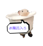 ウーパールーパーの可愛い日常生活（個別スタンプ：2）