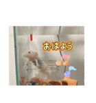 ウーパールーパーの可愛い日常生活（個別スタンプ：3）