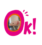ウーパールーパーの可愛い日常生活（個別スタンプ：4）