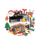 ウーパールーパーの可愛い日常生活（個別スタンプ：7）