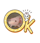 ウーパールーパーの可愛い日常生活（個別スタンプ：13）