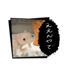 ウーパールーパーの可愛い日常生活（個別スタンプ：16）