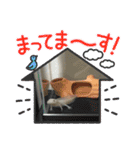 ウーパールーパーの可愛い日常生活（個別スタンプ：18）