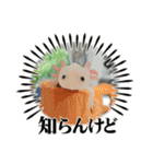 ウーパールーパーの可愛い日常生活（個別スタンプ：19）