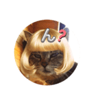 うちのnekoシリーズ6（個別スタンプ：2）