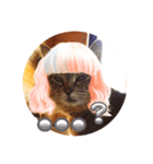 うちのnekoシリーズ6（個別スタンプ：4）