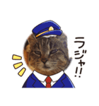 うちのnekoシリーズ6（個別スタンプ：8）