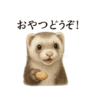 【癒し】リアルすぎるフェレットのまったり（個別スタンプ：12）