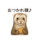 【癒し】リアルすぎるフェレットのまったり（個別スタンプ：13）