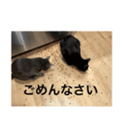 ドラコとルーナ（個別スタンプ：21）