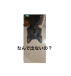 ドラコとルーナ（個別スタンプ：22）