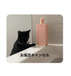 ドラコとルーナ（個別スタンプ：26）