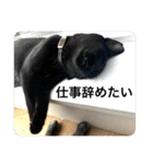 ドラコとルーナ（個別スタンプ：32）