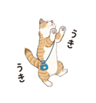 元祖ふとねこ堂のうきうきにゃんこ（個別スタンプ：1）