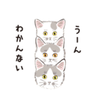 元祖ふとねこ堂のうきうきにゃんこ（個別スタンプ：6）