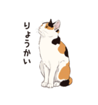 元祖ふとねこ堂のうきうきにゃんこ（個別スタンプ：9）