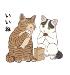 元祖ふとねこ堂のうきうきにゃんこ（個別スタンプ：11）