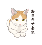元祖ふとねこ堂のうきうきにゃんこ（個別スタンプ：16）