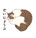 元祖ふとねこ堂のうきうきにゃんこ（個別スタンプ：17）