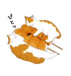 元祖ふとねこ堂のうきうきにゃんこ（個別スタンプ：20）