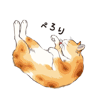 元祖ふとねこ堂のうきうきにゃんこ（個別スタンプ：21）