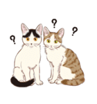 元祖ふとねこ堂のうきうきにゃんこ（個別スタンプ：23）