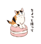 元祖ふとねこ堂のうきうきにゃんこ（個別スタンプ：25）