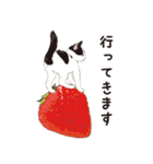 元祖ふとねこ堂のうきうきにゃんこ（個別スタンプ：28）