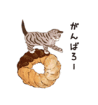 元祖ふとねこ堂のうきうきにゃんこ（個別スタンプ：30）