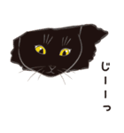 元祖ふとねこ堂のうきうきにゃんこ（個別スタンプ：32）