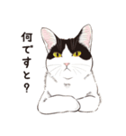 元祖ふとねこ堂のうきうきにゃんこ（個別スタンプ：34）