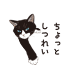 元祖ふとねこ堂のうきうきにゃんこ（個別スタンプ：35）