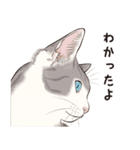 元祖ふとねこ堂のうきうきにゃんこ（個別スタンプ：36）
