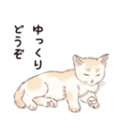 元祖ふとねこ堂のうきうきにゃんこ（個別スタンプ：39）