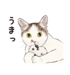 元祖ふとねこ堂のうきうきにゃんこ（個別スタンプ：40）