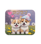 動く！かわいい豆柴たち ずっと使える 日常（個別スタンプ：9）