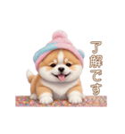 動く！かわいい豆柴たち ずっと使える 日常（個別スタンプ：14）