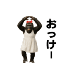 ゴリラさんのスタンプ.（個別スタンプ：7）