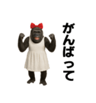 ゴリラさんのスタンプ.（個別スタンプ：17）