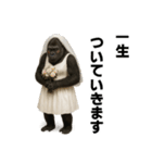 ゴリラさんのスタンプ.（個別スタンプ：35）