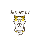 チャンパチとあそぼ【割とよく使う言葉編】（個別スタンプ：5）
