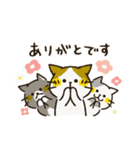 チャンパチとあそぼ【割とよく使う言葉編】（個別スタンプ：6）