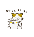 チャンパチとあそぼ【割とよく使う言葉編】（個別スタンプ：13）