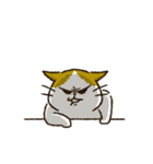 チャンパチとあそぼ【割とよく使う言葉編】（個別スタンプ：16）