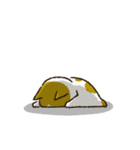 チャンパチとあそぼ【割とよく使う言葉編】（個別スタンプ：19）