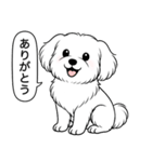 マルチーズ(ショートカット)（個別スタンプ：1）