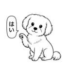 マルチーズ(ショートカット)（個別スタンプ：4）