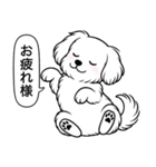 マルチーズ(ショートカット)（個別スタンプ：9）