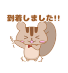 リスのエキュルスタンプ2（個別スタンプ：5）