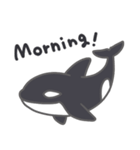 Cute Orca English 2（個別スタンプ：2）
